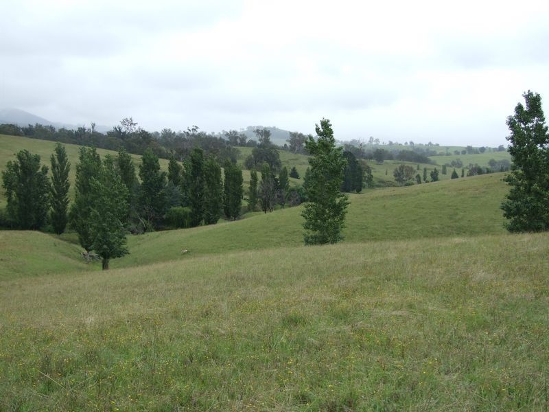 Bemboka NSW 2550