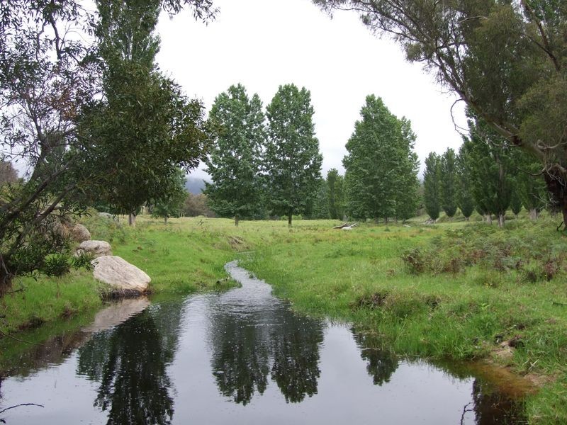 Bemboka NSW 2550