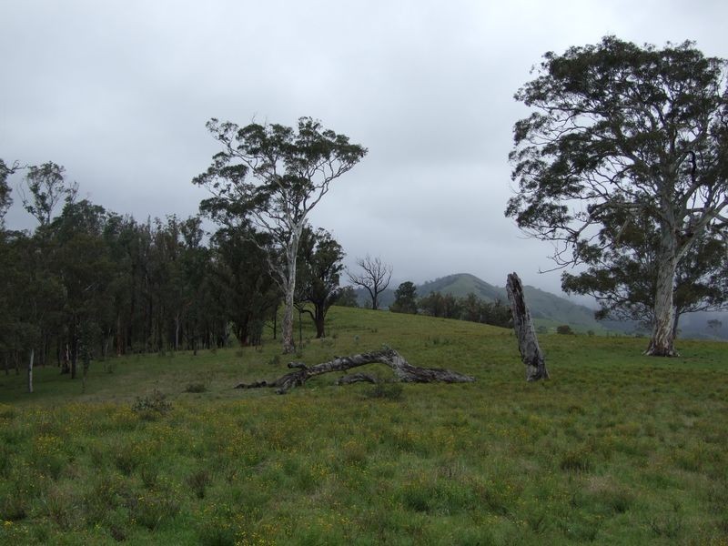 Bemboka NSW 2550