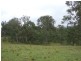 Bemboka NSW 2550