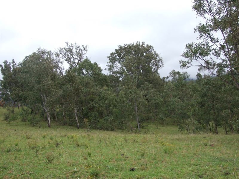Bemboka NSW 2550