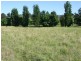Lot 377 Murrabrine Road, Cobargo NSW 2550