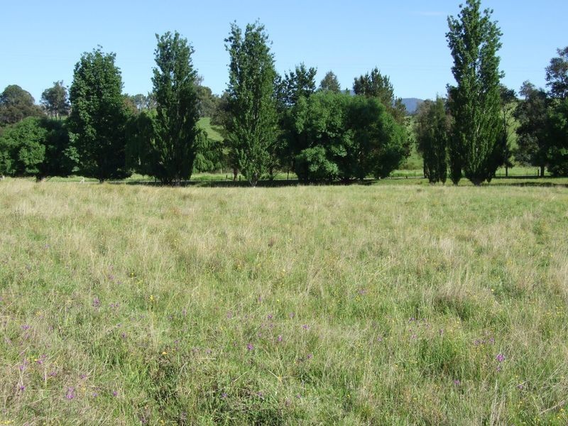 Lot 377 Murrabrine Road, Cobargo NSW 2550