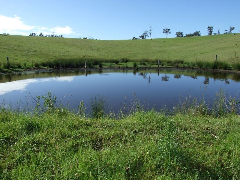 Lot 377 Murrabrine Road, Cobargo NSW 2550