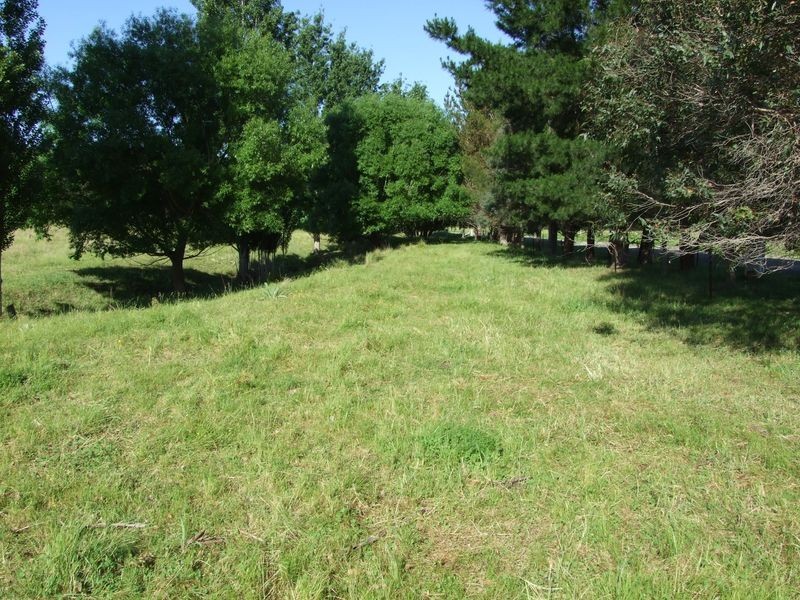 Lot 377 Murrabrine Road, Cobargo NSW 2550