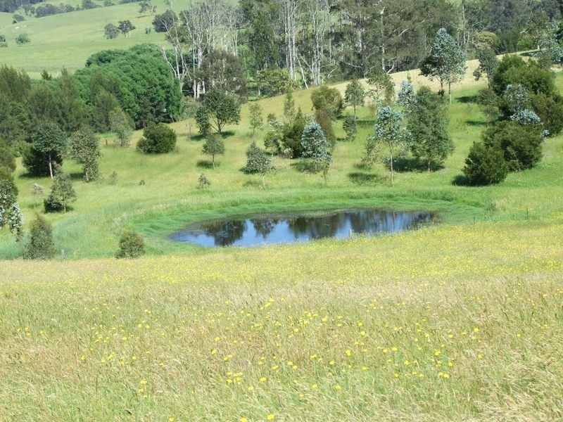 21 Motbeys Road, Angledale NSW 2550