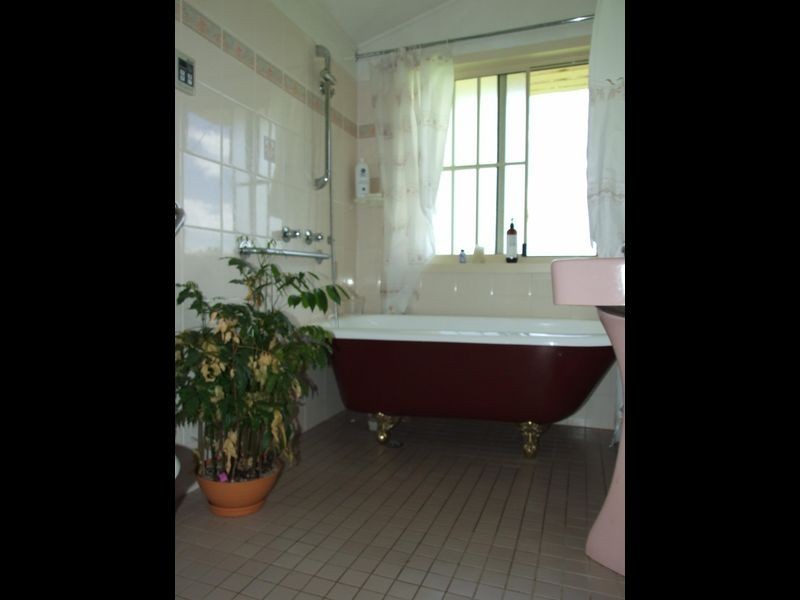 1900 Myrtle Mountain Road, Candelo NSW 2550