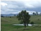 1900 Myrtle Mountain Road, Candelo NSW 2550