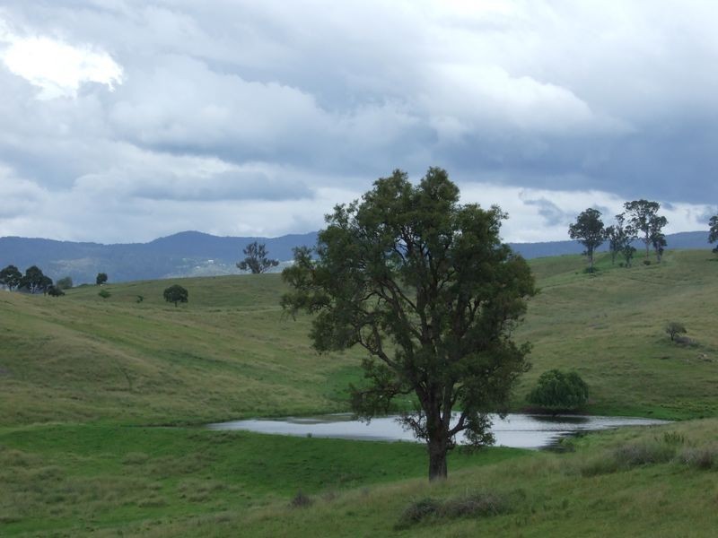 1900 Myrtle Mountain Road, Candelo NSW 2550