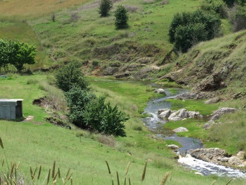 1900 Myrtle Mountain Road, Candelo NSW 2550