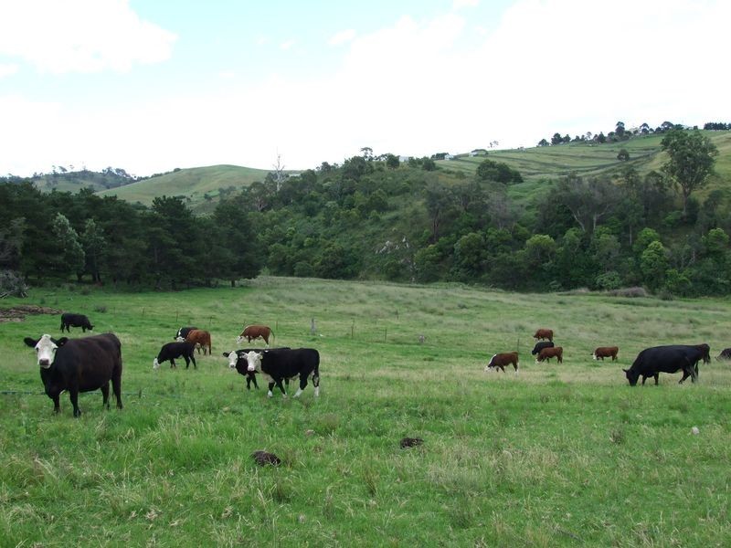 1900 Myrtle Mountain Road, Candelo NSW 2550