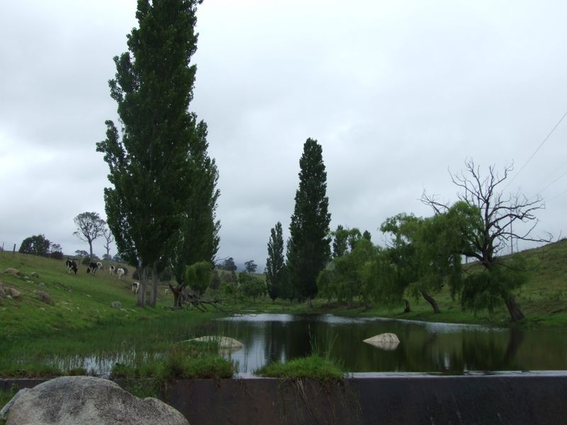 ‘Angley’ 55 Alcock-Collins Road, Bemboka NSW 2550