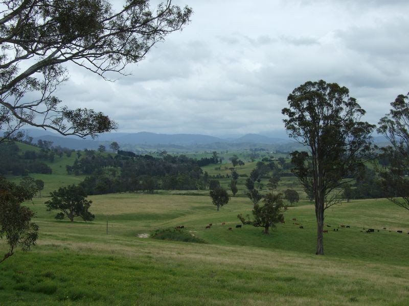 6 Phillip Street, Wolumla NSW 2550