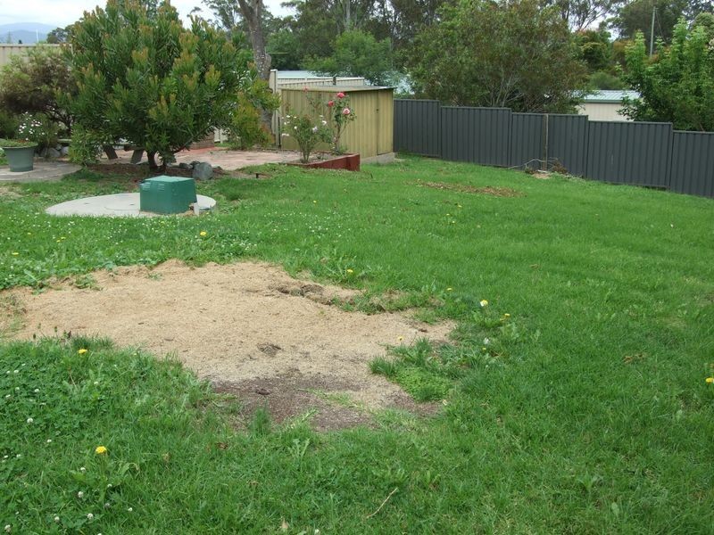 33 Bega Street, Wolumla NSW 2550