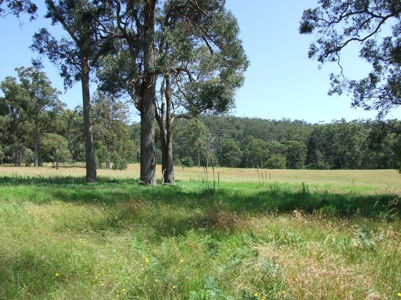Lot 2 Narira Park Lane, Cobargo NSW 2550