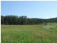 Lot 2 Narira Park Lane, Cobargo NSW 2550
