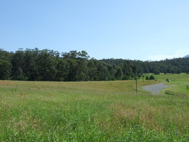Lot 2 Narira Park Lane, Cobargo NSW 2550