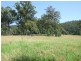 Lot 2 Narira Park Lane, Cobargo NSW 2550