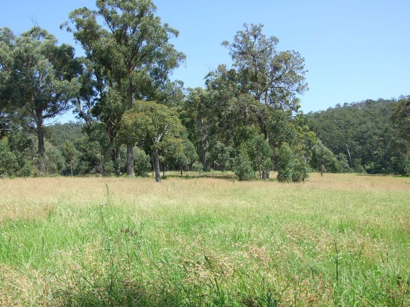 Lot 2 Narira Park Lane, Cobargo NSW 2550