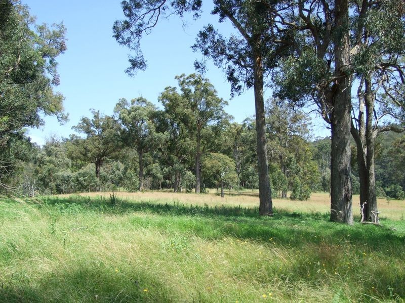 Lot 2 Narira Park Lane, Cobargo NSW 2550