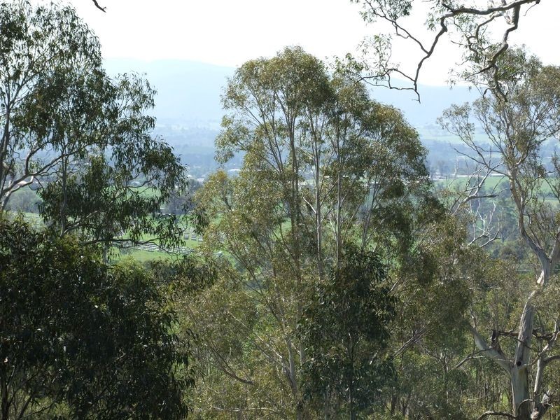 20 Northview Close, Bega NSW 2550