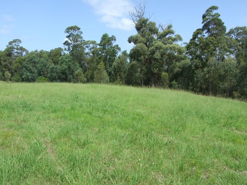 Lot 7641 Westrops Road, Bermagui NSW 2546