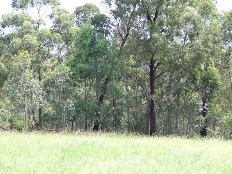 Lot 7641 Westrops Road, Bermagui NSW 2546