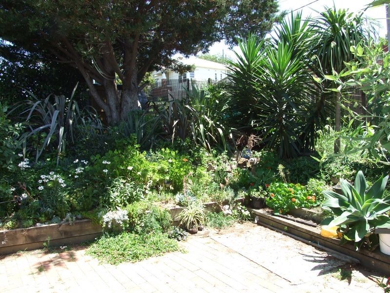 3 Gordon Street, Bega NSW 2550