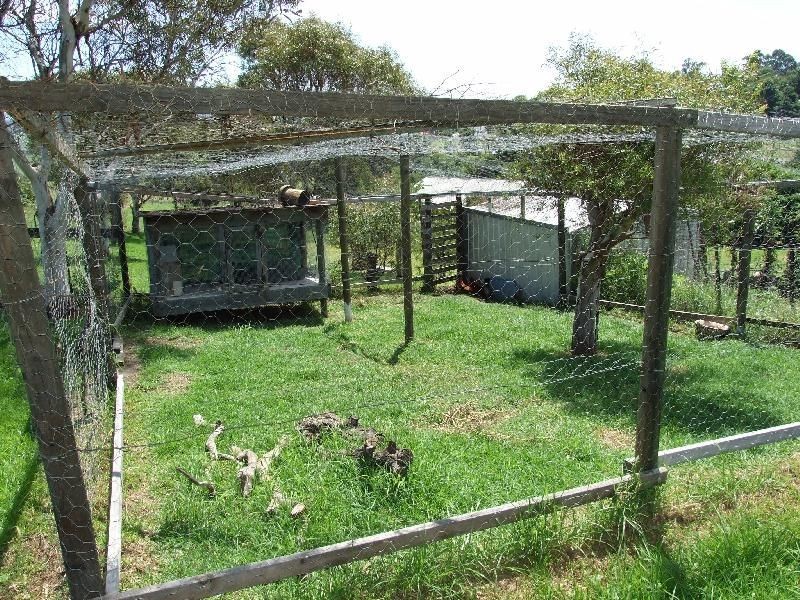 40 Redgum Close, Bega NSW 2550