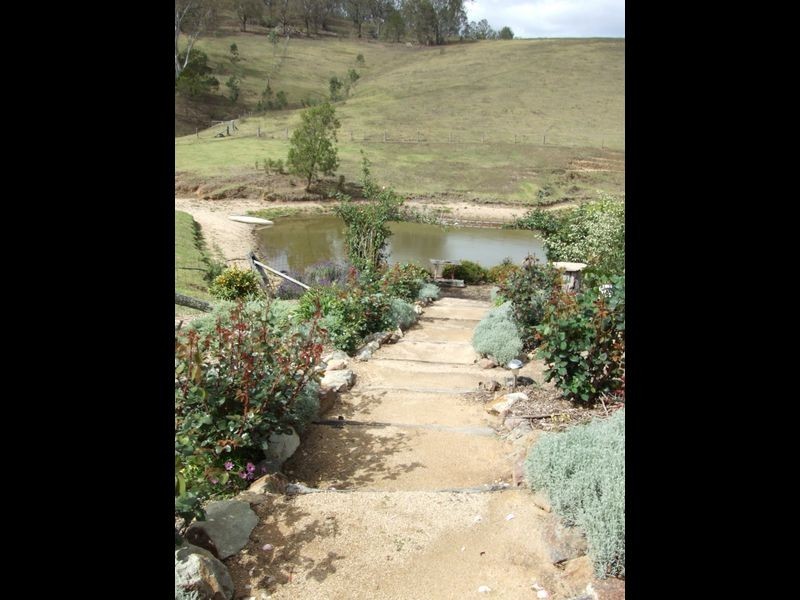 168 Mount Pleasant Road, Bega NSW 2550