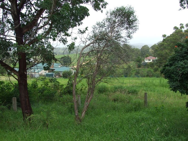 119 Loftus Street, Bemboka NSW 2550