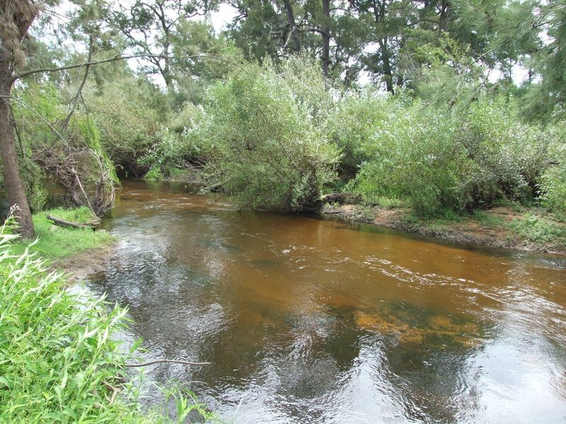 114 Murrays Flat Road, Bega NSW 2550