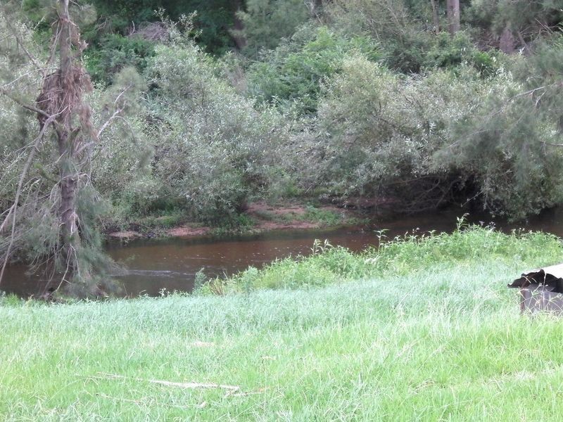 114 Murrays Flat Road, Bega NSW 2550