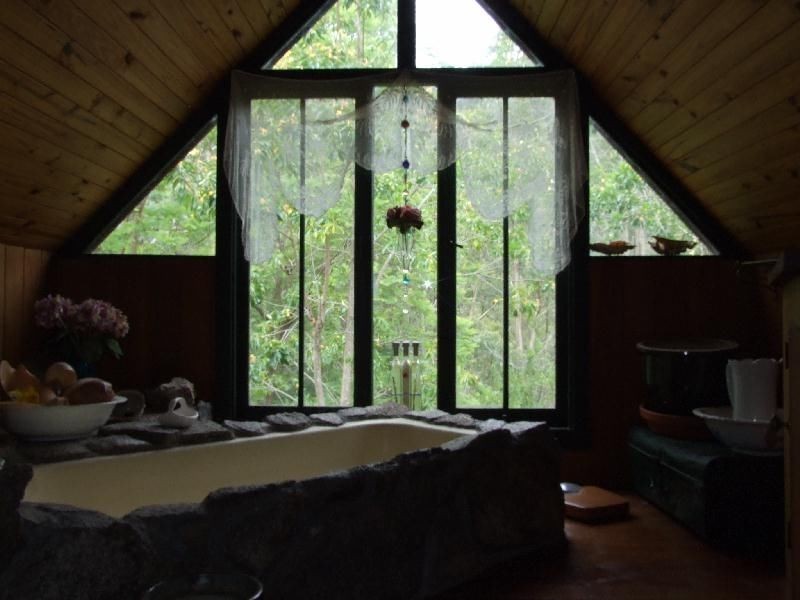 798 Yankee Gap Road, Bemboka NSW 2550