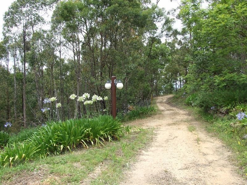 798 Yankee Gap Road, Bemboka NSW 2550