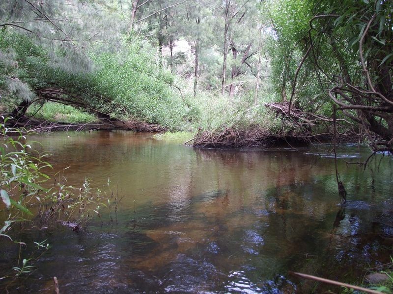 Lot 2 Blanchards Road, Brogo NSW 2550