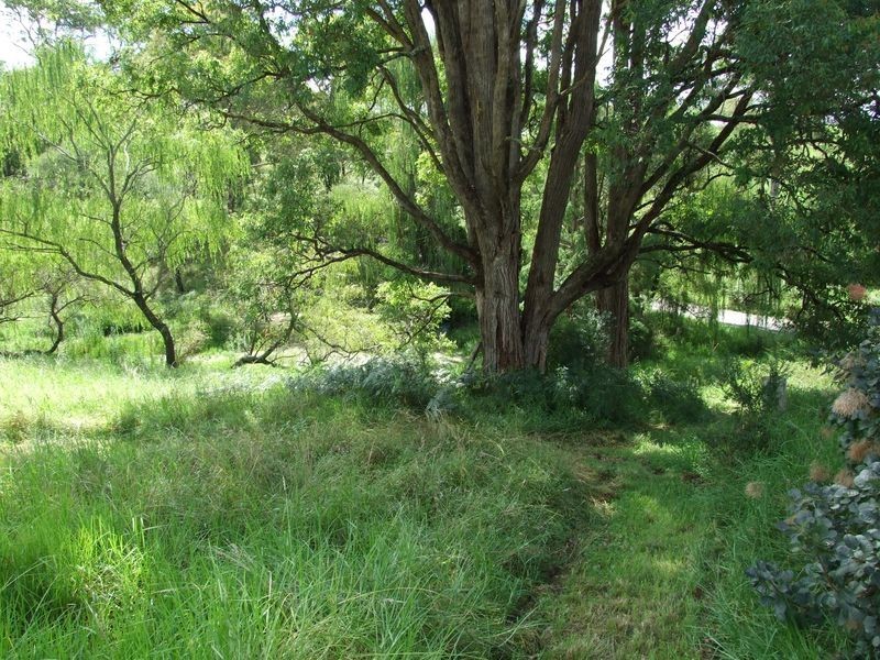 Lot 2 Blanchards Road, Brogo NSW 2550