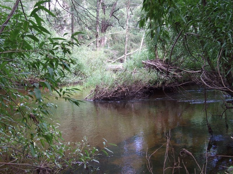 Lot 2 Blanchards Road, Brogo NSW 2550