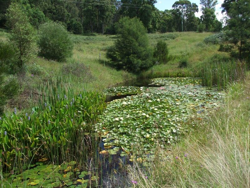 Lot 2 Blanchards Road, Brogo NSW 2550