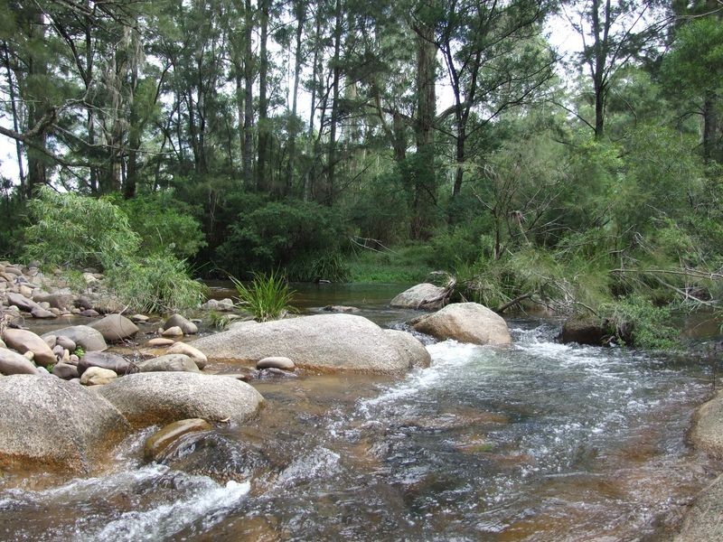 385 Goughs Road, Cobargo NSW 2550