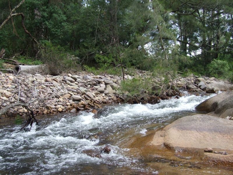 385 Goughs Road, Cobargo NSW 2550