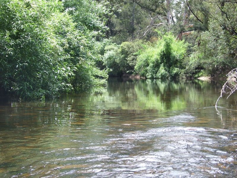 129 Glen Oaks Road, Brogo NSW 2550