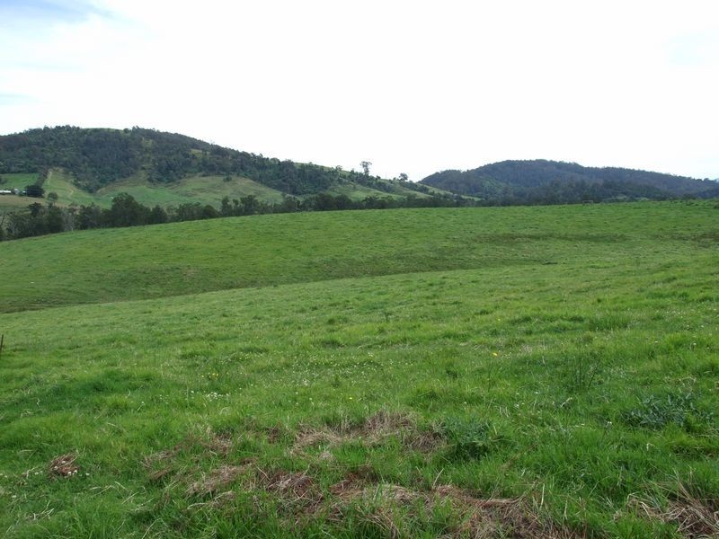 129 Glen Oaks Road, Brogo NSW 2550