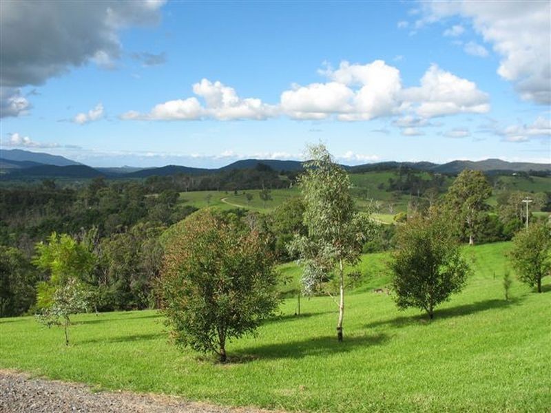 240 Quinlans Road, Cobargo NSW 2550