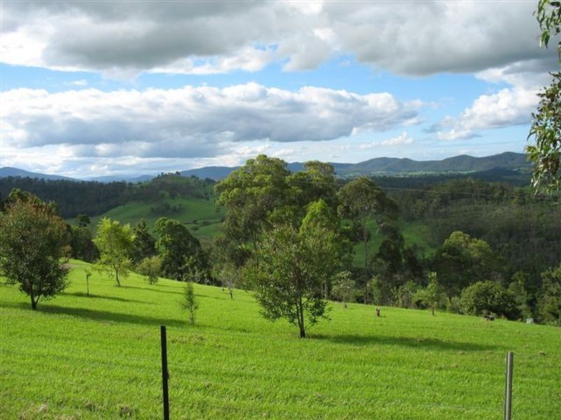 240 Quinlans Road, Cobargo NSW 2550