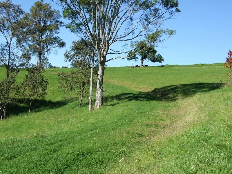 240 Quinlans Road, Cobargo NSW 2550