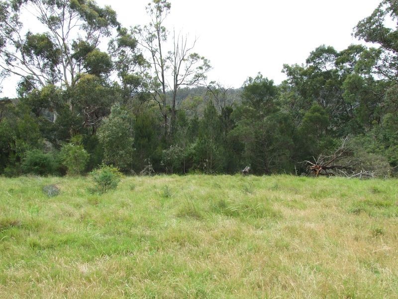 631 Reedy Swamp Road, Bega NSW 2550