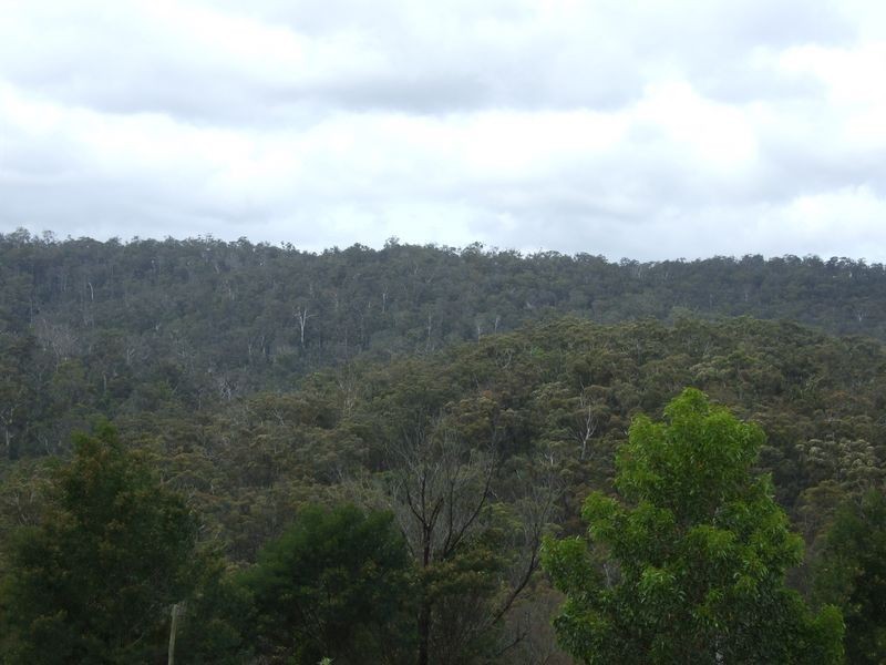 631 Reedy Swamp Road, Bega NSW 2550