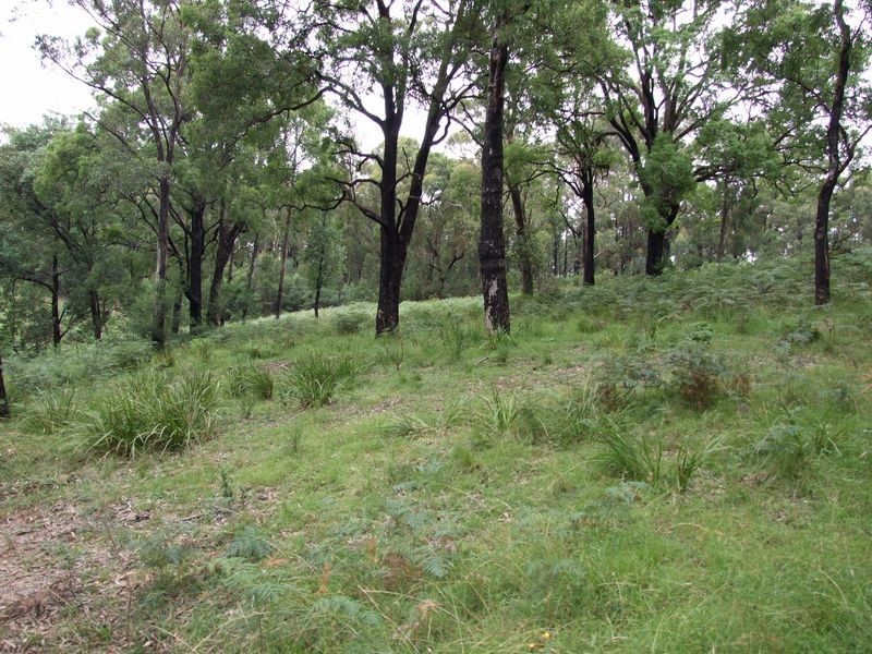 Lot 2 Yowrie Road, Cobargo NSW 2550