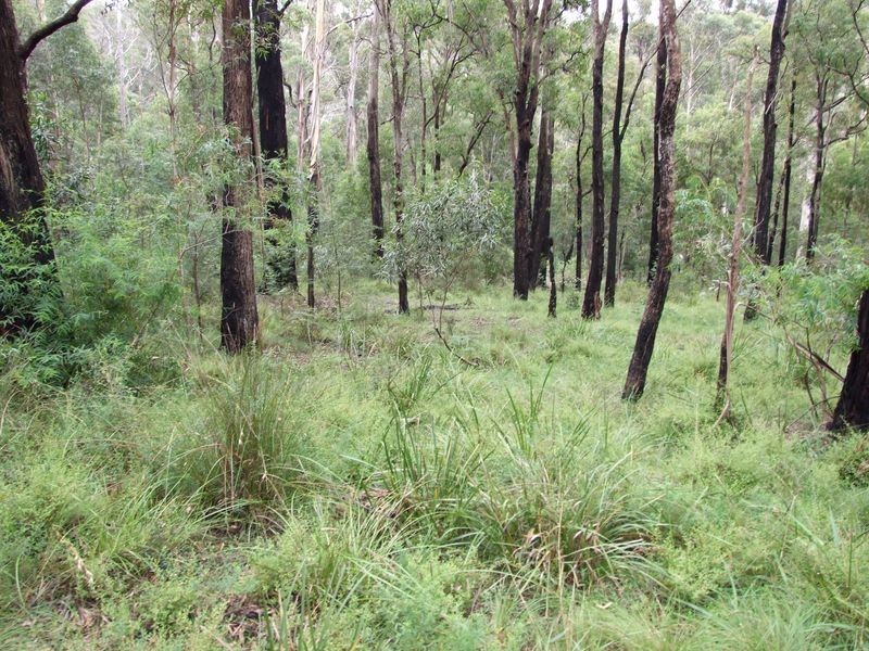 Lot 2 Yowrie Road, Cobargo NSW 2550